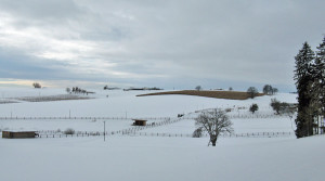 Landschaft Reitstall Holzerhof