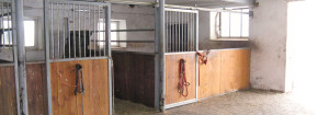 Pferdepension Holzerhof Pferdestall