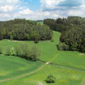 Ökologische Pferdehaltung im Einklang mit der Natur