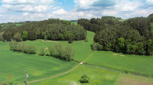 Ökologische Pferdehaltung im Einklang mit der Natur