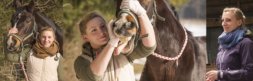 Pferdezahnbehandlung durch einen Tierarzt