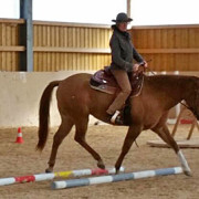 Reitkurs mit Dagmar Roelofsen auf Holzerhof