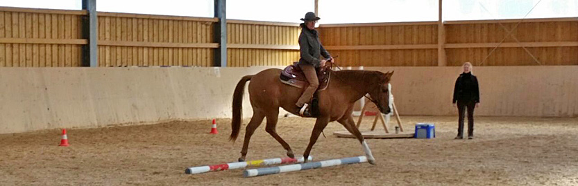 Reitkurs mit Dagmar Roelofsen auf Holzerhof