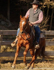 Reitkurs Bernd Hackl auf Holzerhof