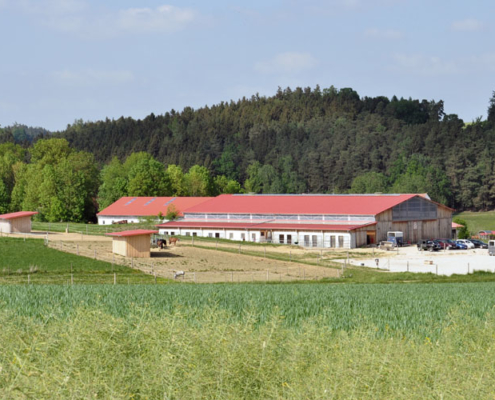 Moderne Hofanlage eingebettet zwischen Wiesen und Wäldern