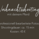 Weihnachtliches Fotoshooting für Pferde